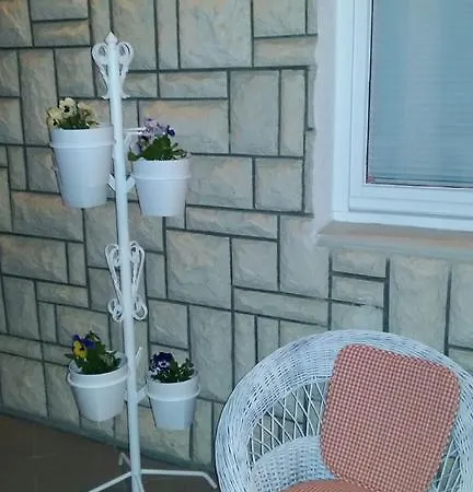 Pina *